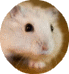 Gebruikersavatar